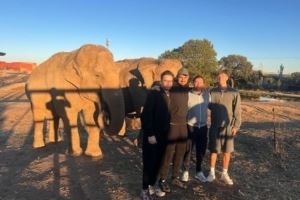 近距离接触，赫伊森社媒晒去动物园看大象的照片